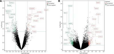 Alterated gene expression in dilated cardiomyopathy after left ventricular assist device support by bioinformatics analysis